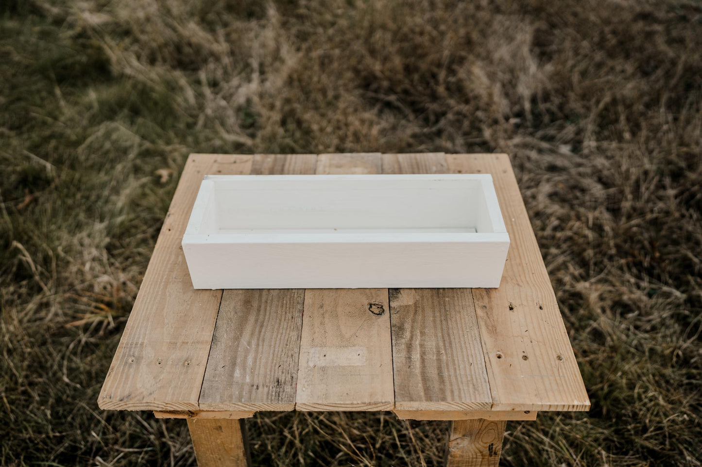 Planter #2
