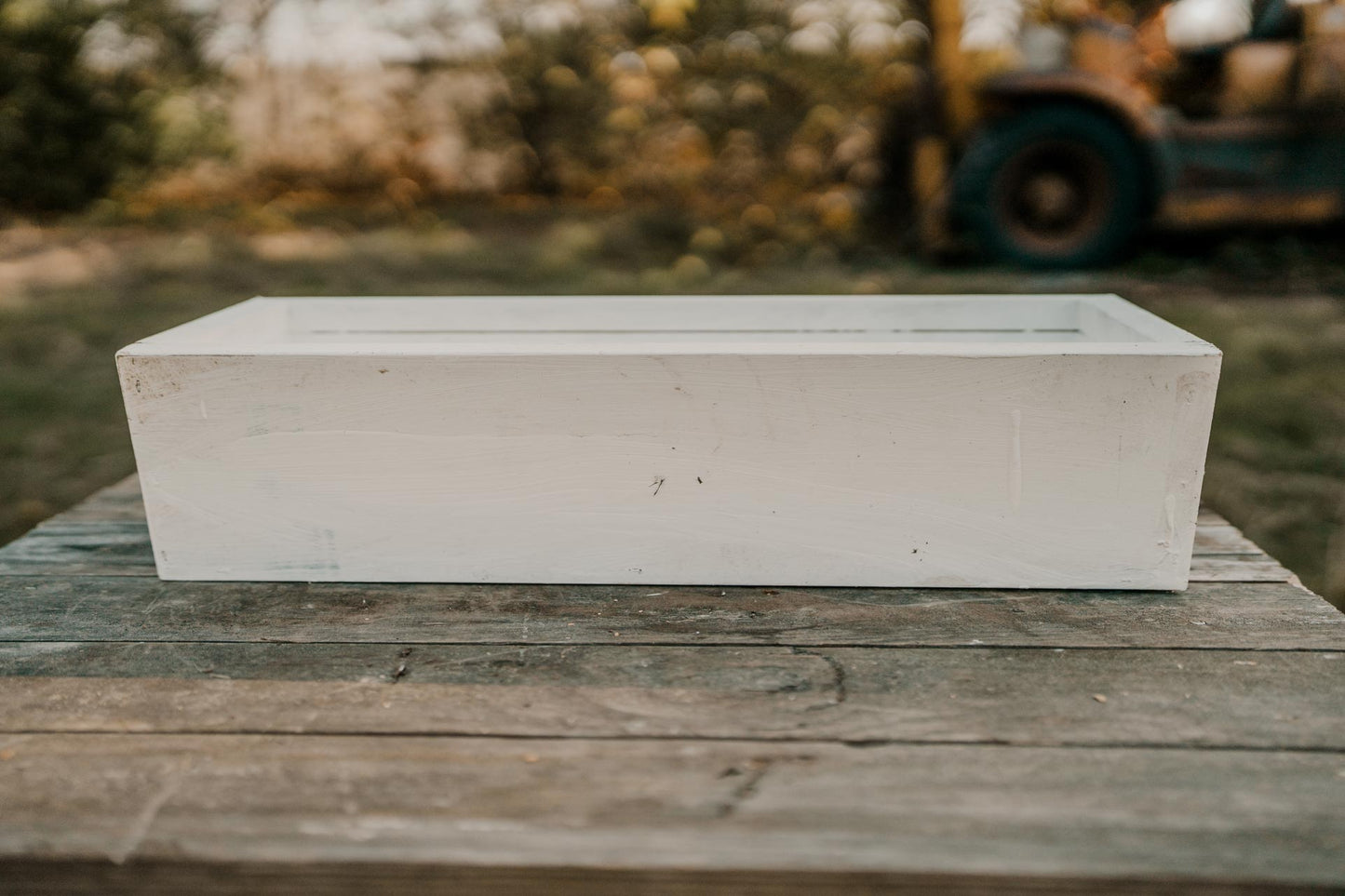 Planter #6