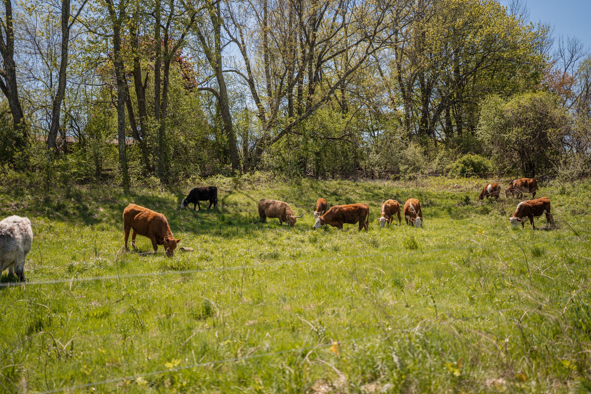 Redeemers Ranch Dreamers' Ranch – Dreamers' Ranch